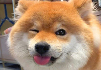 如何解決生活焦慮 太焦慮了該怎么辦