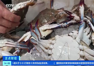 梭子蟹比去年便宜30% 梭子蟹有什么營養價值