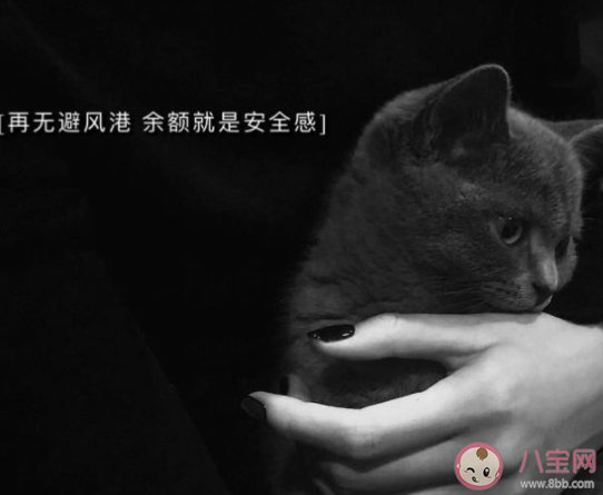 物質(zhì)能給人多大程度安全感 安全感來(lái)自于哪些方面 物質(zhì)能給人多大程度安全感 安全感來(lái)自于哪些方面