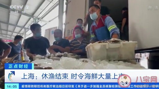 梭子蟹比去年便宜30% 梭子蟹有什么營養價值