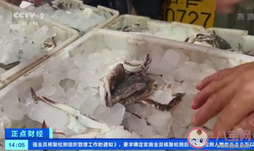 梭子蟹比去年便宜30% 梭子蟹有什么營養價值