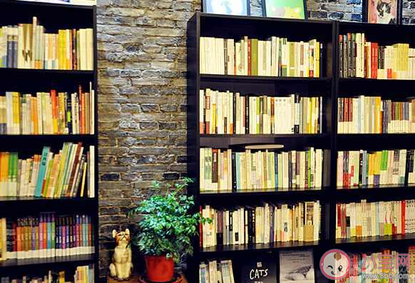 有些書放久了會泛黃主要因為 螞蟻莊園8月17日答案介紹 有些書放久了會泛黃主要因為 螞蟻莊園8月17日答案介紹