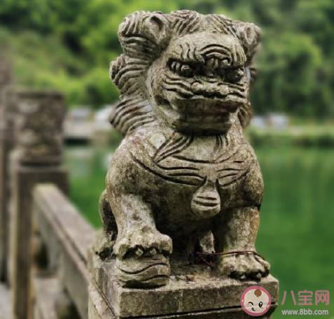 要活到老奮斗到老還是佛系面對 年輕人該拼命一點還是佛系一點 要活到老奮斗到老還是佛系面對 年輕人該拼命一點還是佛系一點