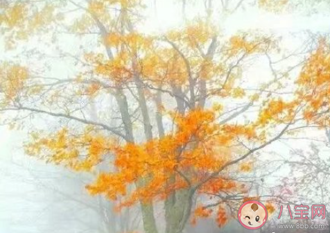 要活到老奮斗到老還是佛系面對 年輕人該拼命一點還是佛系一點 要活到老奮斗到老還是佛系面對 年輕人該拼命一點還是佛系一點