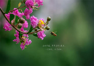 八月最后一天小清新文案配圖 八月最后一天干凈治愈的圖片句子