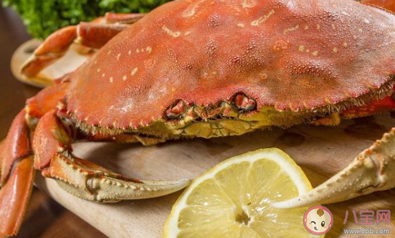 一般來說螃蟹煮熟后為什么會變紅 螞蟻莊園8月18日答案