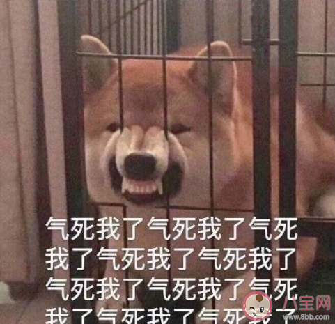 為什么聽到別人說重話就會忍不住掉淚 一聽重話就想落淚怎么辦