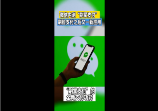 微信或支持刷手支付 刷手支付安全嗎有什么好處