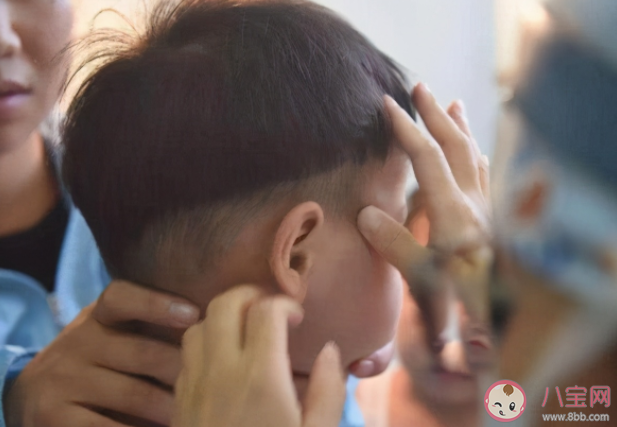 蟲子進了耳朵用手電筒照是好辦法嗎 螞蟻莊園8月19日正確答案 蟲子進了耳朵用手電筒照是好辦法嗎 螞蟻莊園8月19日正確答案