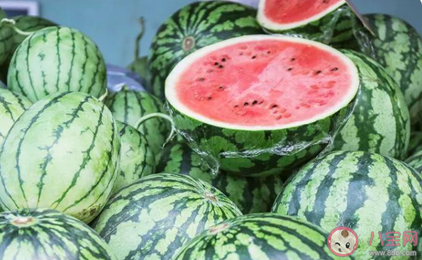 西瓜的中間特別甜這是因?yàn)楣闲牟糠?螞蟻莊園8月20日答案 西瓜的中間特別甜這是因?yàn)楣闲牟糠?螞蟻莊園8月20日答案