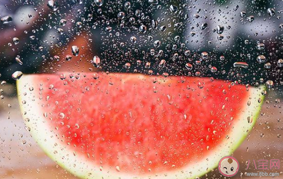 西瓜的中間特別甜這是因?yàn)楣闲牟糠?螞蟻莊園8月20日答案 西瓜的中間特別甜這是因?yàn)楣闲牟糠?螞蟻莊園8月20日答案