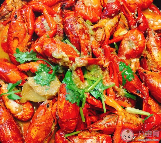 蝦頭變黑是因為重金屬超標嗎 螞蟻莊園8月21日答案介紹