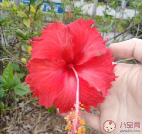 為何當代年輕人大多都恐婚 年輕人為何不想結婚