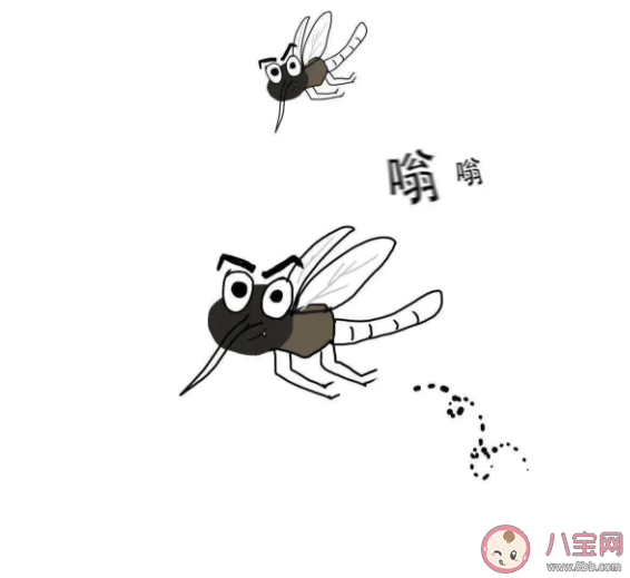 世界蚊子日是怎么來的 蚊子都喜歡晚上咬人嗎