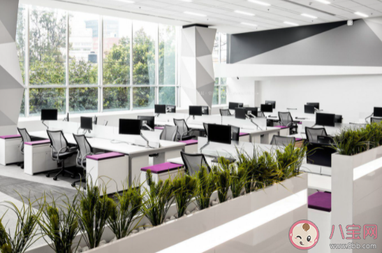 如何判斷一個(gè)公司值不值得留下 哪些公司不適合留下來發(fā)展