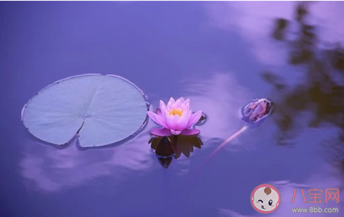 戀愛和曖昧的具體區別是什么 曖昧最多能持續多久