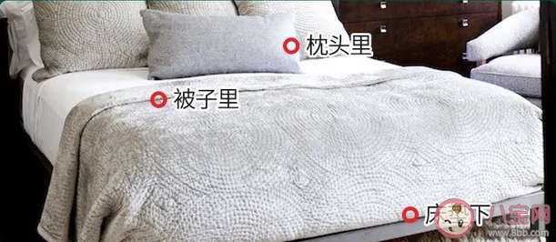 殺蟲劑噴到床上還能睡嗎 皮膚接觸了殺蟲劑會有什么影響