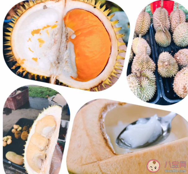 紅肉榴蓮味道怎么樣 紅肉榴蓮好吃嗎 紅肉榴蓮味道怎么樣 紅肉榴蓮好吃嗎