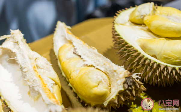 紅肉榴蓮味道怎么樣 紅肉榴蓮好吃嗎 紅肉榴蓮味道怎么樣 紅肉榴蓮好吃嗎