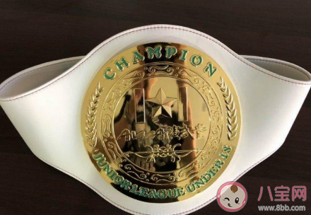 金腰帶一般是哪項運動冠軍獲得的榮譽 螞蟻莊園小課堂8月22日答案 金腰帶一般是哪項運動冠軍獲得的榮譽 螞蟻莊園小課堂8月22日答案