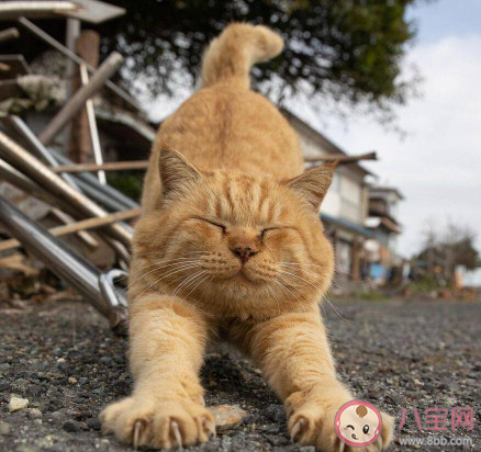 開學前會感到焦慮嗎 開學焦慮怎么辦 開學前會感到焦慮嗎 開學焦慮怎么辦
