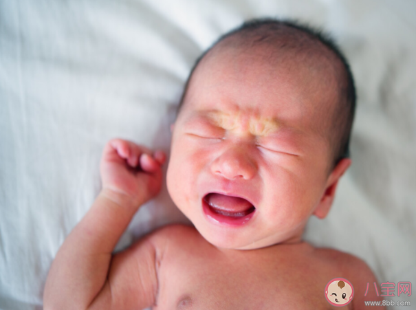 螞蟻莊園為什么嬰兒一出生就哭 8月24日答案解析 螞蟻莊園為什么嬰兒一出生就哭 8月24日答案解析