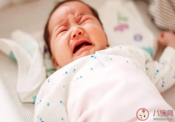 螞蟻莊園為什么嬰兒一出生就哭 8月24日答案解析 螞蟻莊園為什么嬰兒一出生就哭 8月24日答案解析