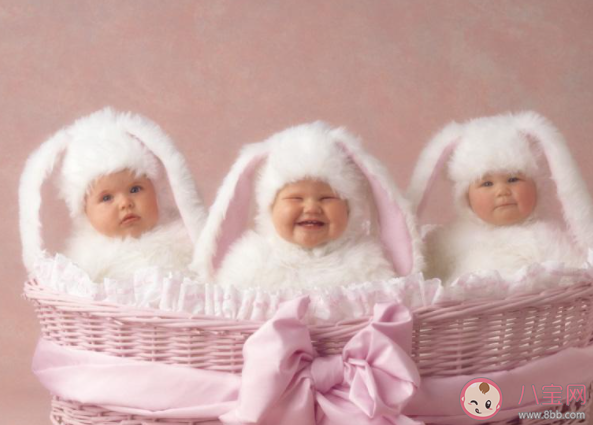 為什么嬰兒一出生就哭 螞蟻莊園小課堂8月24日答案