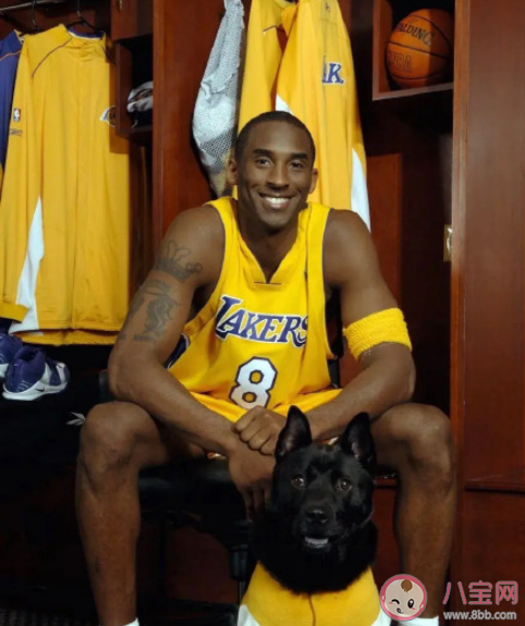 有關8.24紀念科比的句子 824科比紀念日圖片文案說說 有關8.24紀念科比的句子 824科比紀念日圖片文案說說