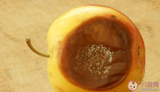 常見食物發霉處理方式 怎樣延長食物的保鮮時間 常見食物發霉處理方式 怎樣延長食物的保鮮時間