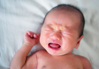 螞蟻莊園為什么嬰兒一出生就哭 8月24日答案解析