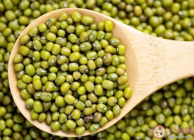 綠豆不能像黃豆一樣打出豆?jié){原因與什么有關(guān) 螞蟻莊園8月25日答案 綠豆不能像黃豆一樣打出豆?jié){原因與什么有關(guān) 螞蟻莊園8月25日答案