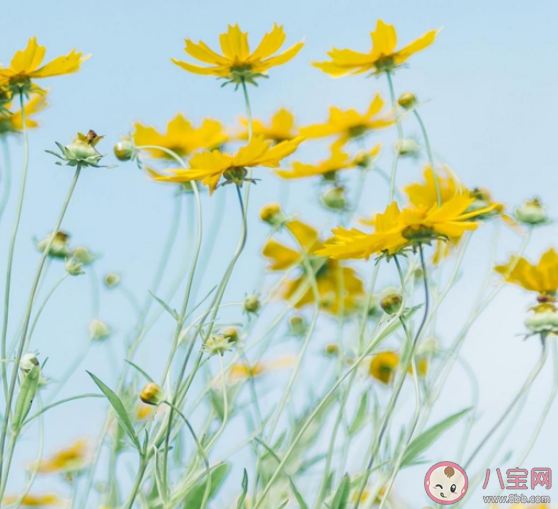 八月已過告別八月的朋友圈文案 與八月道聲再見的文案句子