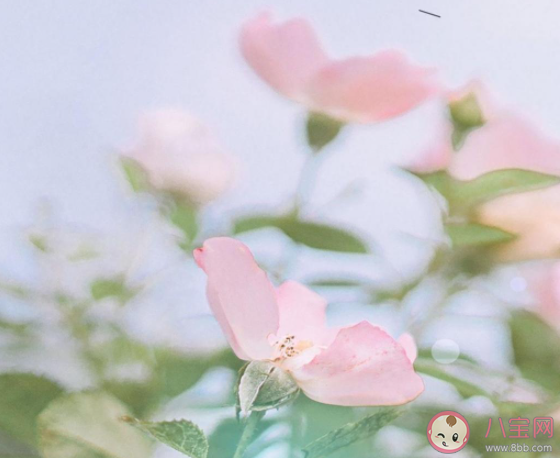 八月已過告別八月的朋友圈文案 與八月道聲再見的文案句子