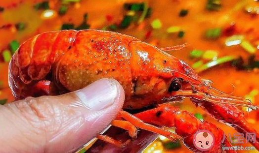 吃小龍蝦時最好把蝦頭去除這種說法正確嗎 螞蟻莊園課堂8月26日答案 吃小龍蝦時最好把蝦頭去除這種說法正確嗎 螞蟻莊園課堂8月26日答案