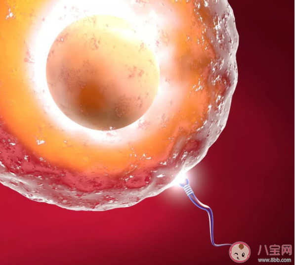 孕早期反復流產都是女方的問題嗎 反復流產后就不能懷孕了嗎