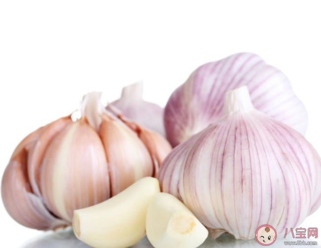 這些有關大蒜的謠言你信了嗎 關于大蒜的謠言真相 這些有關大蒜的謠言你信了嗎 關于大蒜的謠言真相