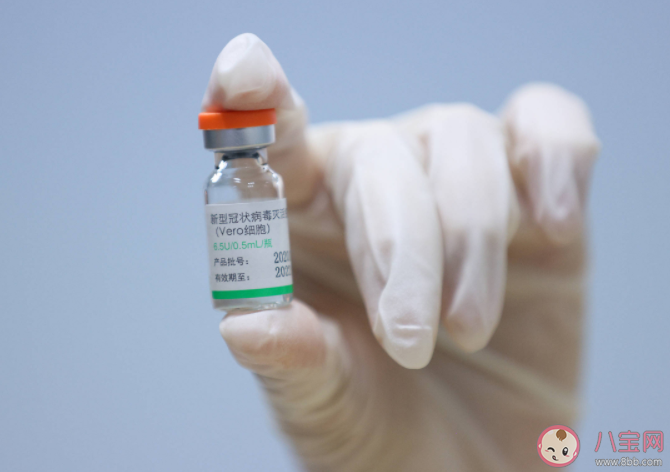 新冠疫苗加強針哪些人優(yōu)先打 加強針第三針能混打嗎 新冠疫苗加強針哪些人優(yōu)先打 加強針第三針能混打嗎