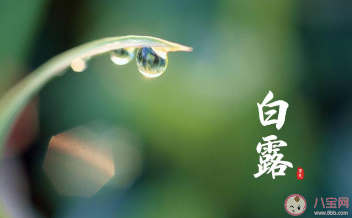 2021白露節(jié)氣早安心語圖片朋友圈說說 2021白露節(jié)氣送祝福的文字帶圖