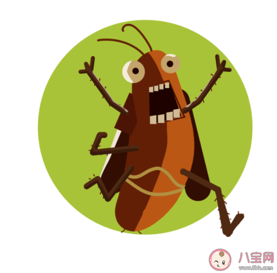 為什么家里的蟑螂就是殺不干凈 怎么有效消除家里的蟑螂 為什么家里的蟑螂就是殺不干凈 怎么有效消除家里的蟑螂
