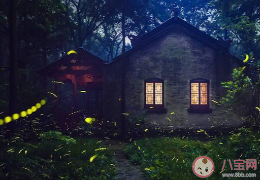 螞蟻莊園8月28日答案:螢火蟲發出的光為什么忽明忽暗 螞蟻莊園8月28日答案:螢火蟲發出的光為什么忽明忽暗