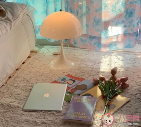 為什么會有人選擇獨居 你獨居的原因是什么