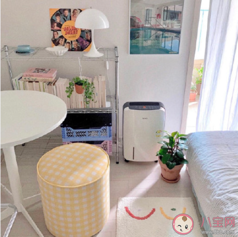 為什么會有人選擇獨居 你獨居的原因是什么