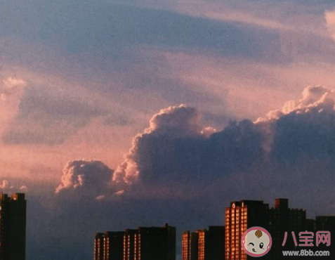 和爸媽敞開心扉有多難 為什么和父母說心里話很難