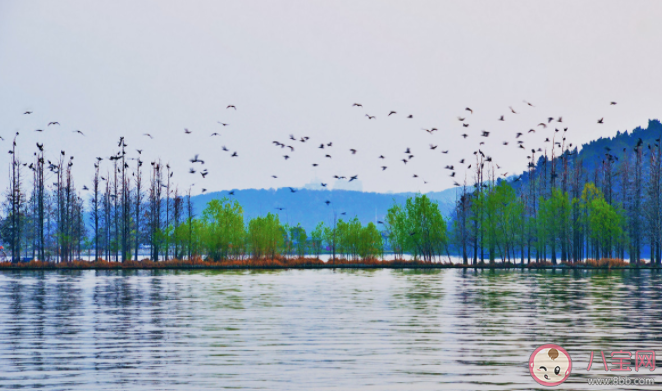 武漢東湖游玩攻略 武漢東湖N種玩法