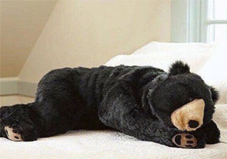 獨居有哪些好處和壞處 獨居要注意些什么