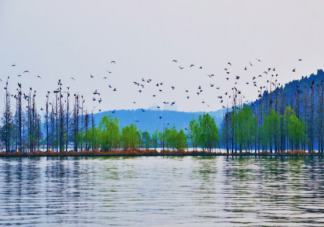 武漢東湖游玩攻略 武漢東湖N種玩法