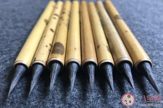 毛筆中的珍品紫毫筆筆頭的制作原料出自哪種動物 螞蟻莊園8月29日答案介紹 毛筆中的珍品紫毫筆筆頭的制作原料出自哪種動物 螞蟻莊園8月29日答案介紹