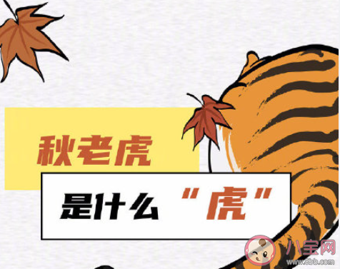 全國秋老虎地圖 秋老虎來了如何養生