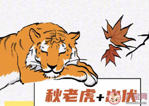 全國秋老虎地圖 秋老虎來了如何養生